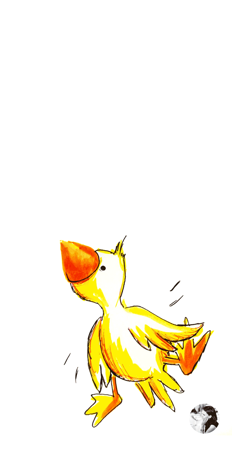 Flying Duck • Waterfront Properties Blog