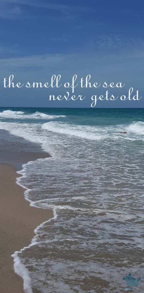 The Smell of the Sea • Waterfront Properties Blog