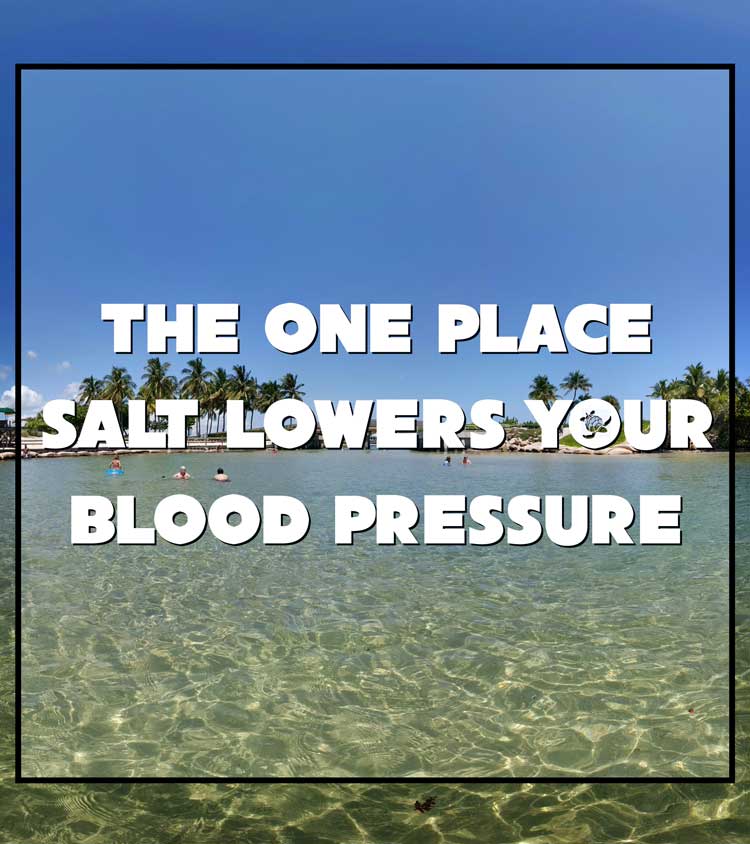 Salt Lowers Your Blood Pressure Waterfront Properties Blog blood-pressure-115-54-mmhg-what-does-it-indicate-theemtspot