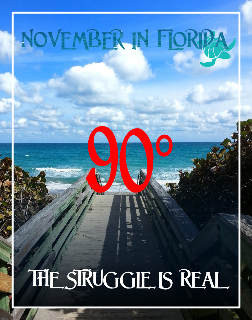 Winter in FL - The Struggle is real • Waterfront Properties Blog