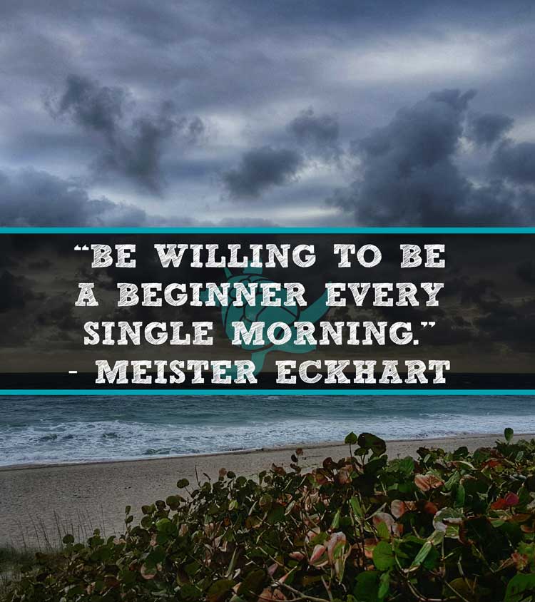 beginner success quote