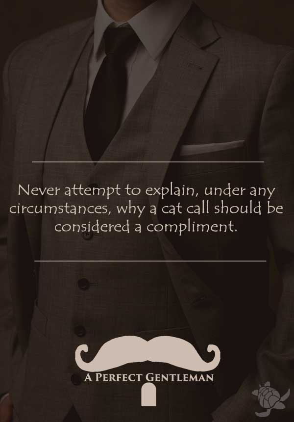 A gentleman doesn't cat call