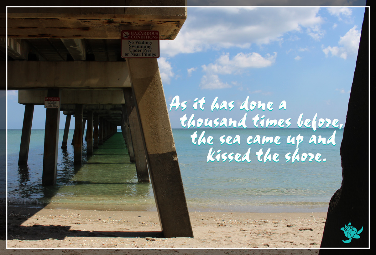 kiss the shore
