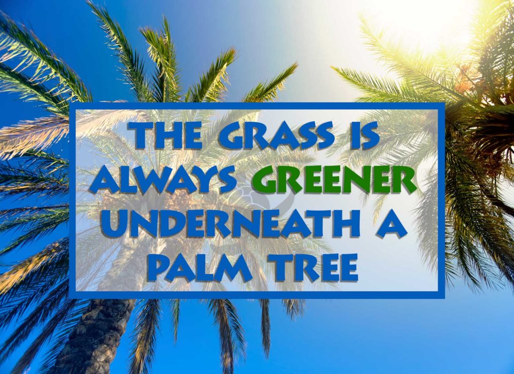 Greener under a palm tree • Waterfront Properties Blog