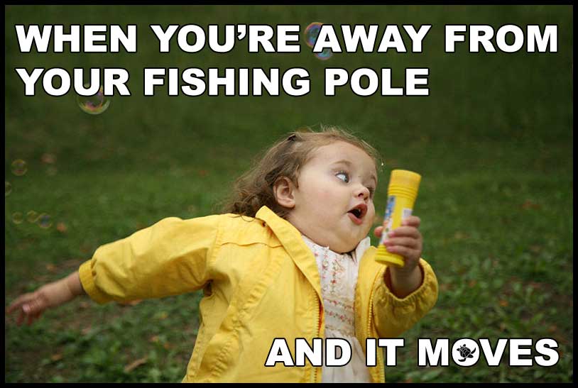 little girl yellow jacket fishing meme
