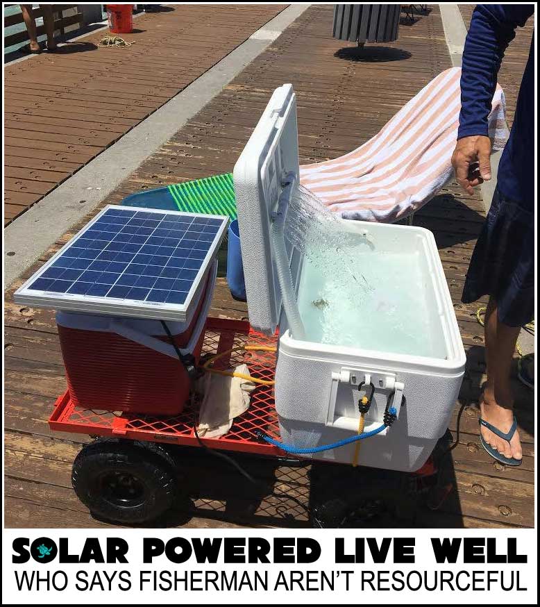 solar powered live well