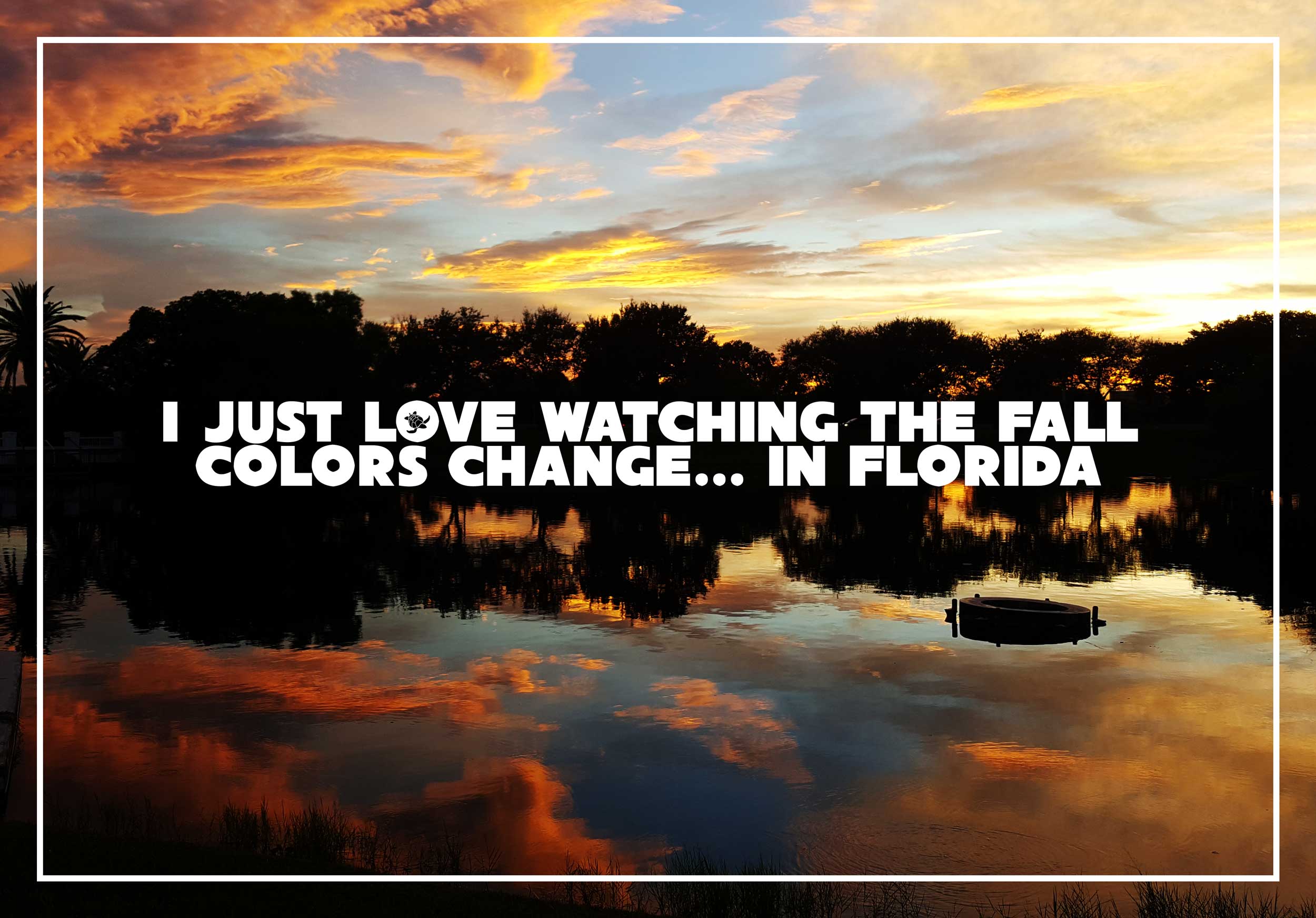 Fall in Florida Meme