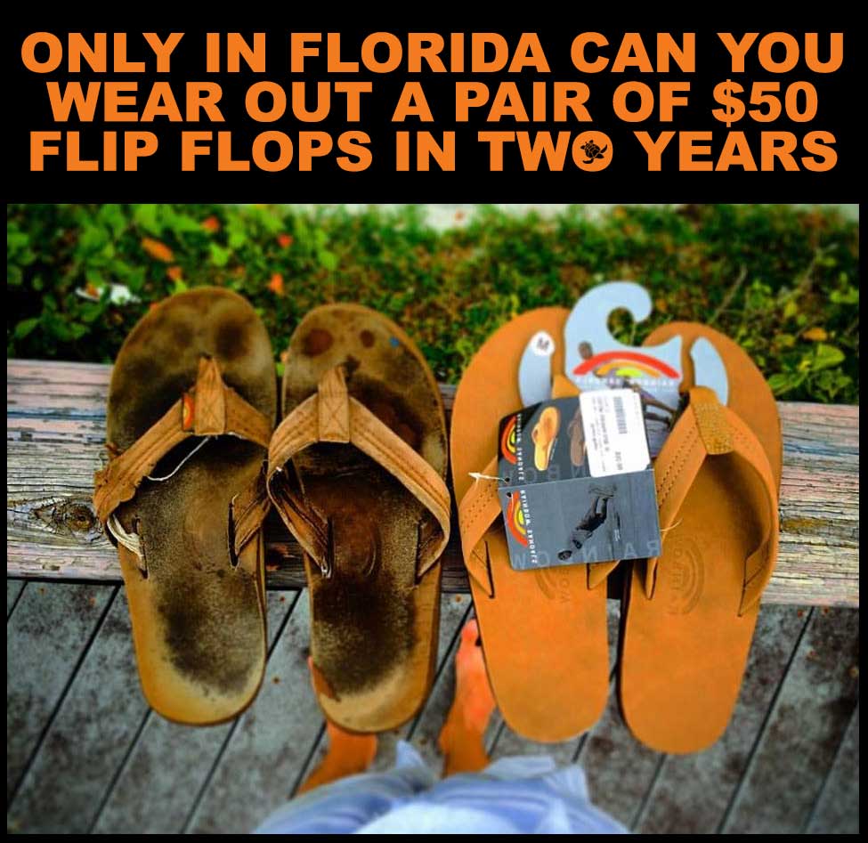 florida flip flops meme