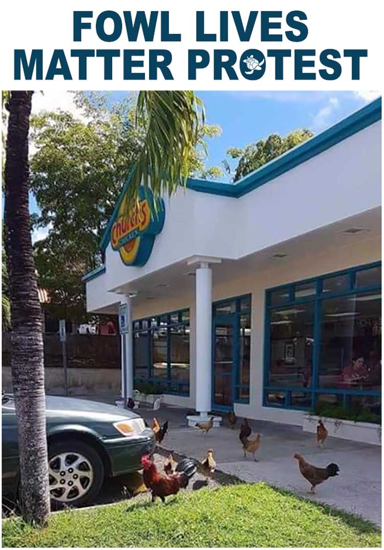 fowl lives matter