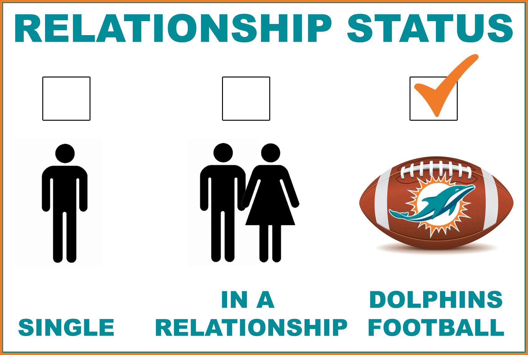 dolphins football meme
