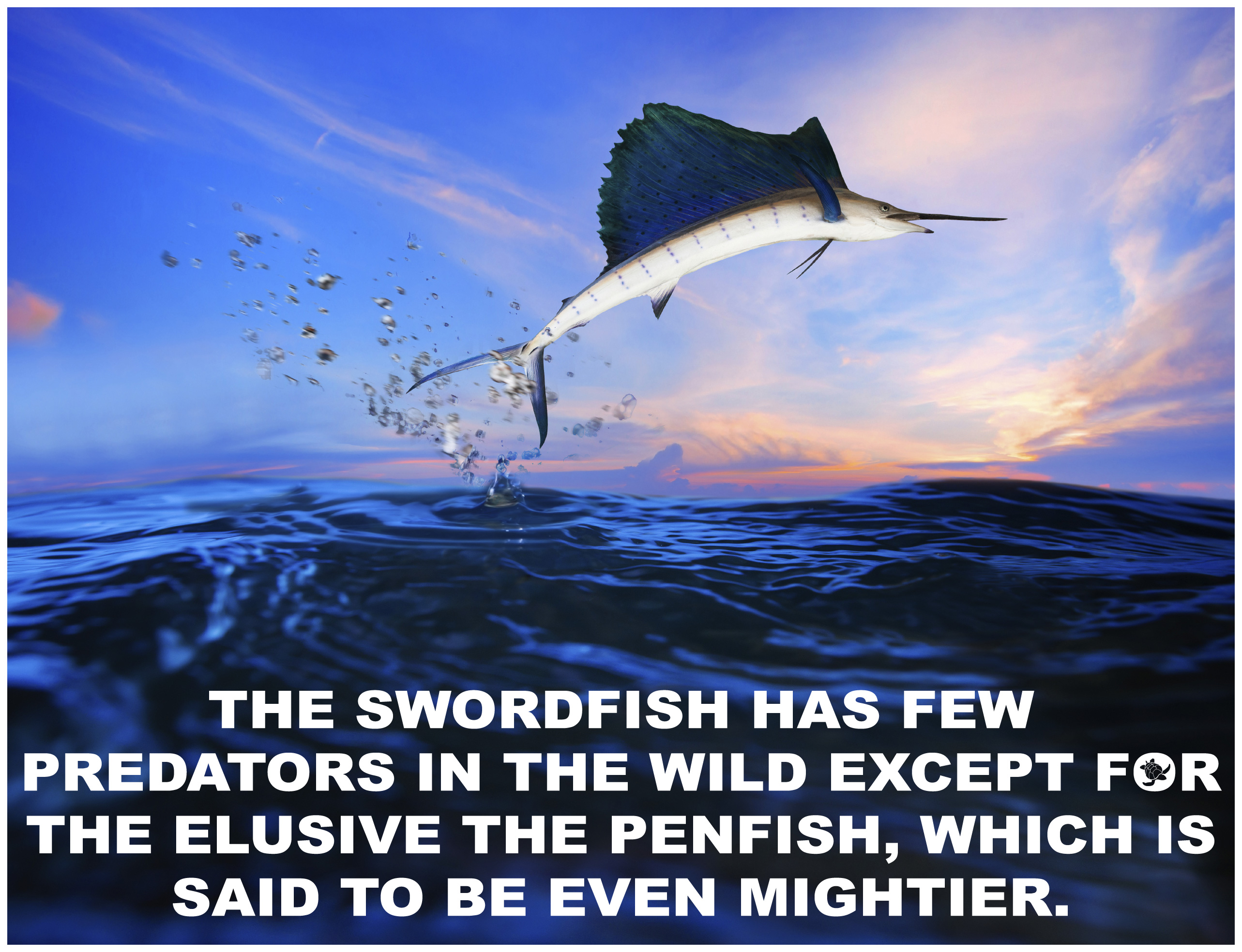 swordfish pun
